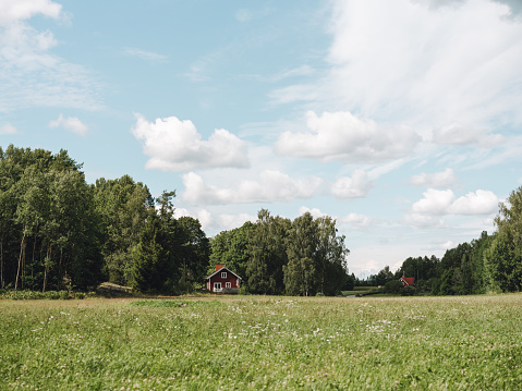 Typical swedish Scandinavian landscape in summer