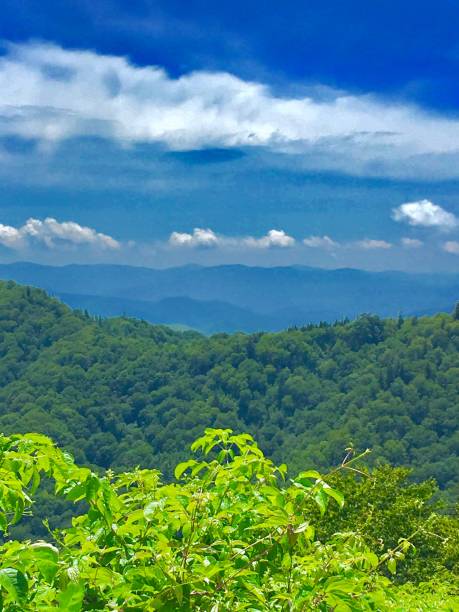istock Great Smoky Mountains 1585039026