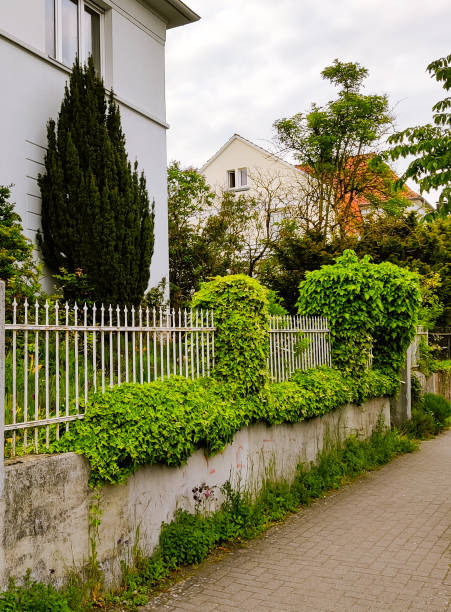 istock Summer scenery with trees and brick fence in Europe 1585044427