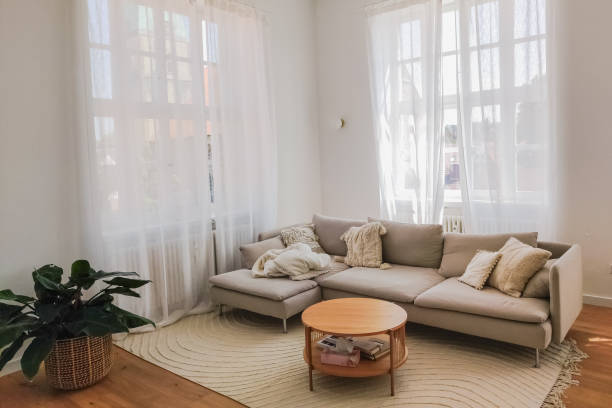 istock Sofa and green plant in room with height window 1585044579