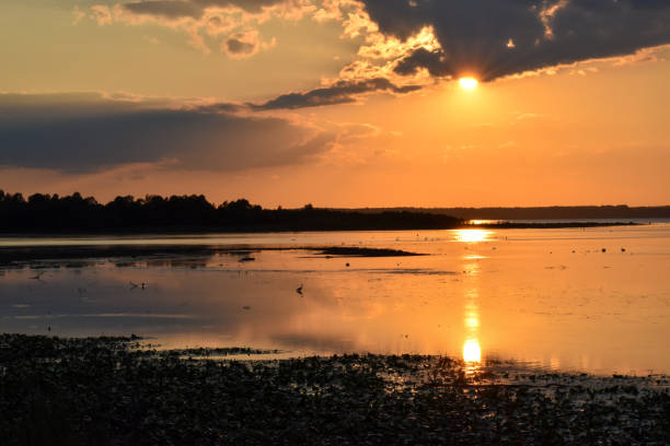 istock sunset at lake Chiemsee, Hirschauer Bucht, Bavaria, Germany 1585076474