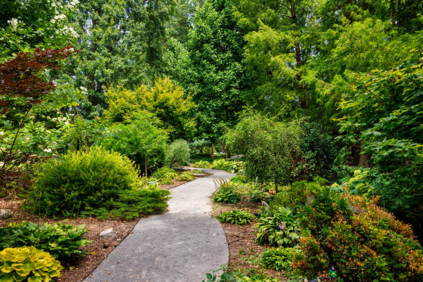 istock Waking in the beautiful park 1585091145