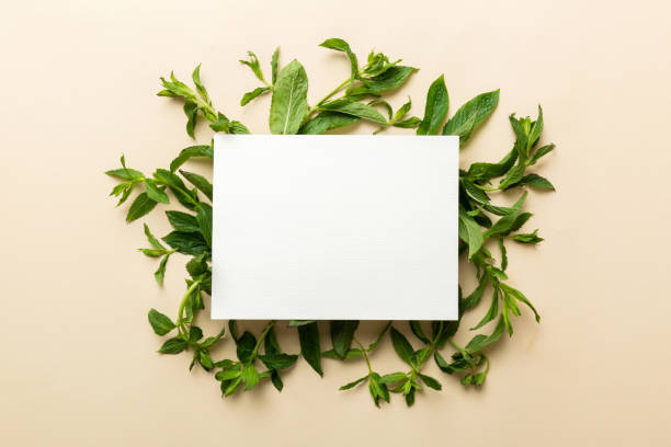 istock Wreath frame made of empty paper blank with space for text and mint leaves on colored background. . Mint Pattern. Flat lay. Top view 1585147103