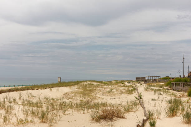 istock atlantic beach with plants at the foreground at summer time 1585150975