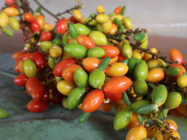 istock Colorful wild herbal fruit 1585168764