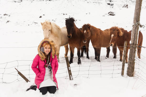istock Iceland real horse during winter snow 1585173255