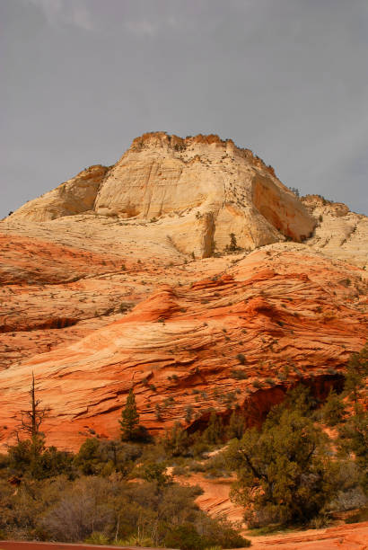 istock Zion National Park 1585184056