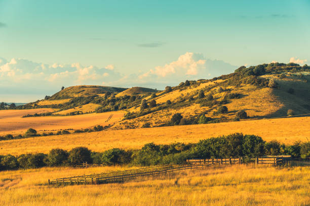 ピットストーンヒル農地農業フィールドバッキンガムシャー、英国 - crop buckinghamshire hill pasture ストックフォトと画像