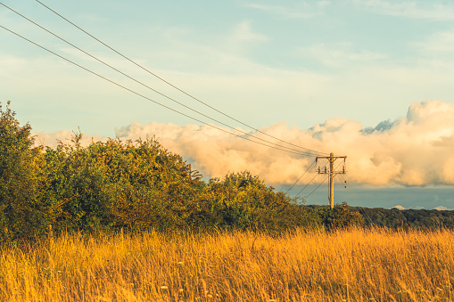 Tower with electric power lines for transfering high voltage electricity located in agricultural field