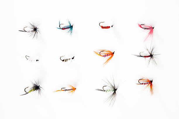 Fishing flies Many fishing flies isolated on white background hook equipment stock pictures, royalty-free photos & images