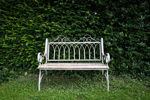 Ornate wrought iron garden seat seen against a recently cut hedge. Located at a stately home.