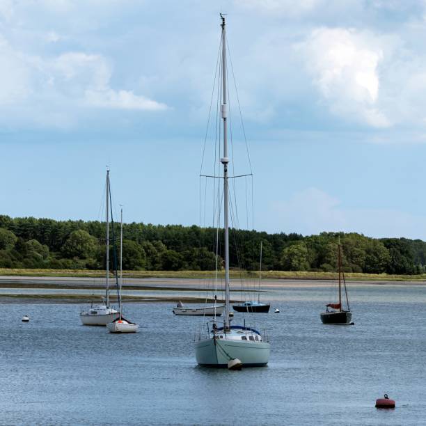 istock Yachts moored on a calm river 1585275978
