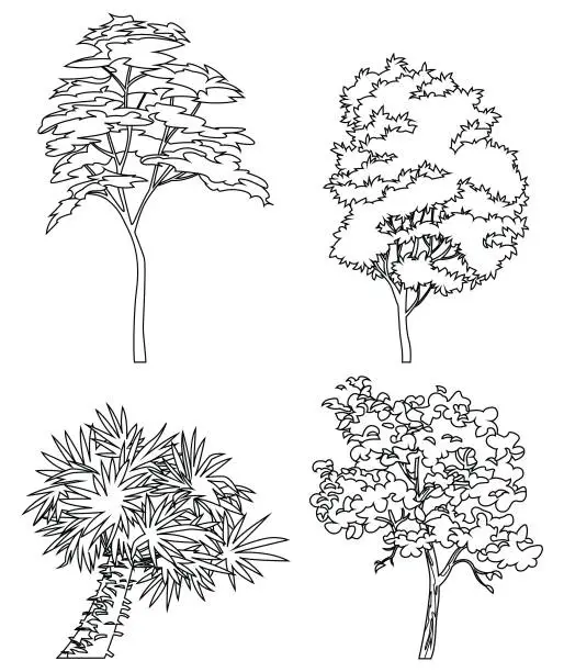 Vector illustration of Different hand drawn trees isolated on white background, sketch, drawing style trees set.