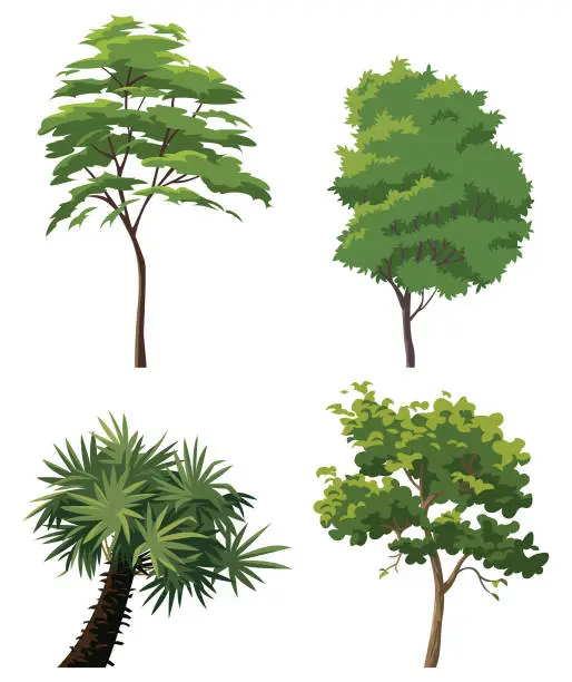 Vector illustration of Trees Collection
