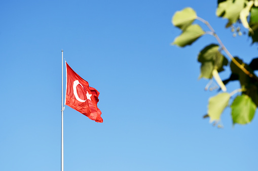 Turkish flag, waving Turkish flag and tree branch with clear blue sky background