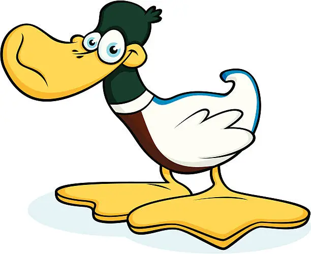 Vector illustration of Mallard Duck with Big Feet