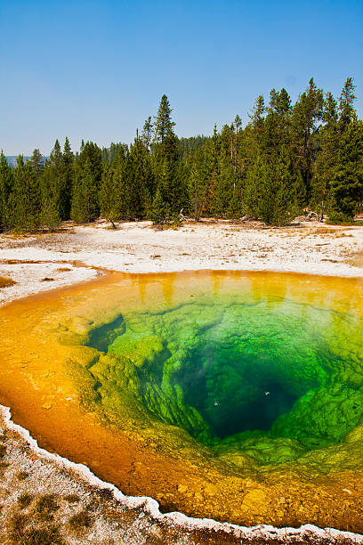 istock Beautiful Morning Glory Pool in Yellowstone National Park 158532406
