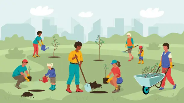 Vector illustration of Volunteers plant young tree seedlings