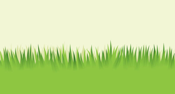 Grass Lawn Meadow Growing Background Grass lawn mowing mowed yard backyard background. backyard background stock illustrations