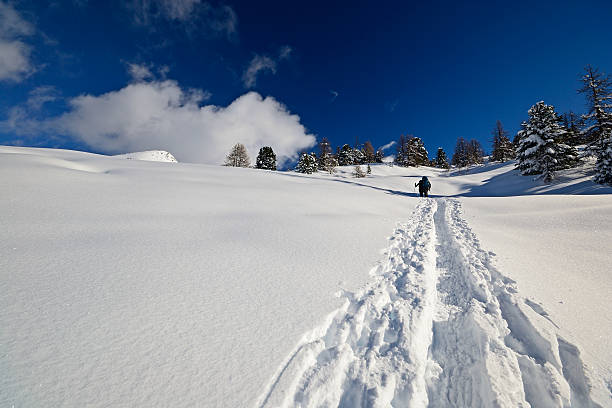 istock Snowshoeing in powder snow 158533774