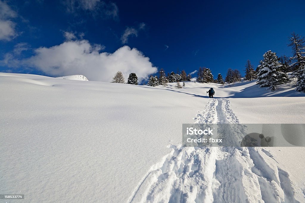 Snowshoeing in powder snow Deep track in powder snow left by snowshoeing hikers (background) in a scenic winter alpine landscape. Activity Stock Photo