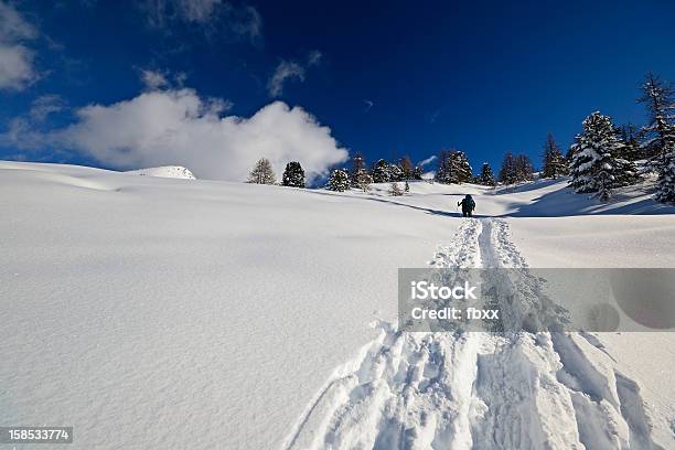 Snowshoeing In Powder Snow Stock Photo - Download Image Now - Activity, Adventure, Back Country Skiing