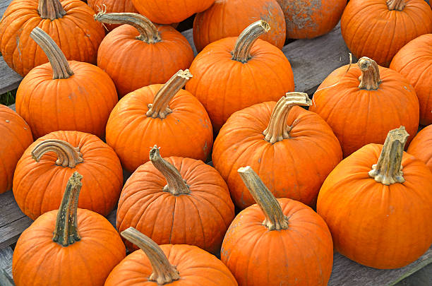 istock autumn orange pumpkins 158534693