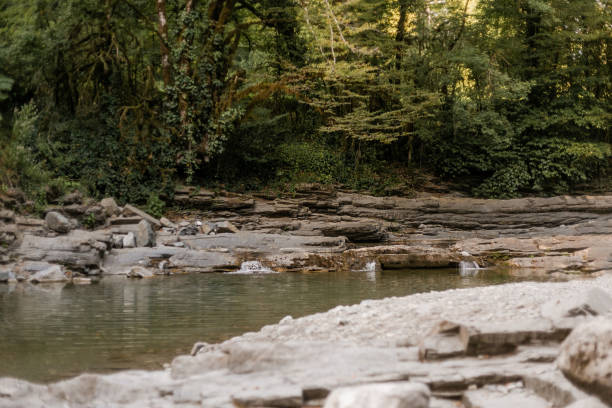 istock mountain river gorge in adygea 1585357312