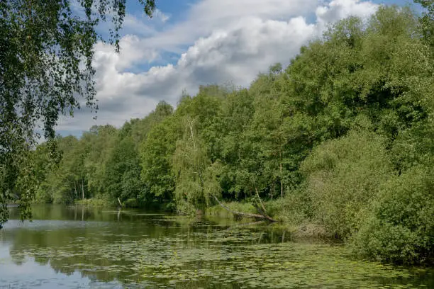 Lake Borner See in Tantelbruch Nature Reserve close to Brueggen,lower Rhine region,Germany