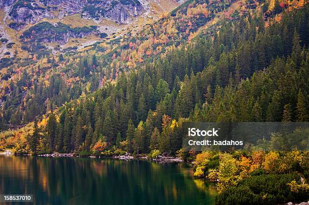 Paisagem - Fotografias de stock e mais imagens de Ao Ar Livre - Ao Ar Livre, Beleza natural, Cena Não Urbana