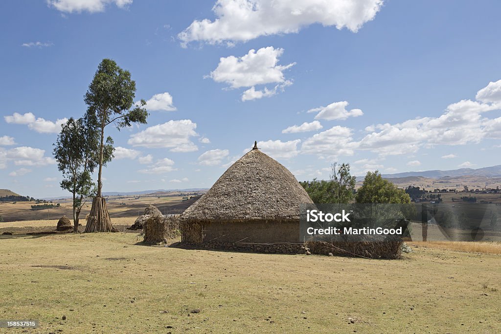 Traditional thatched house in Africa A thatched mud house with blue skies and Eucalyptus trees in Ethiopia, Africa Africa Stock Photo