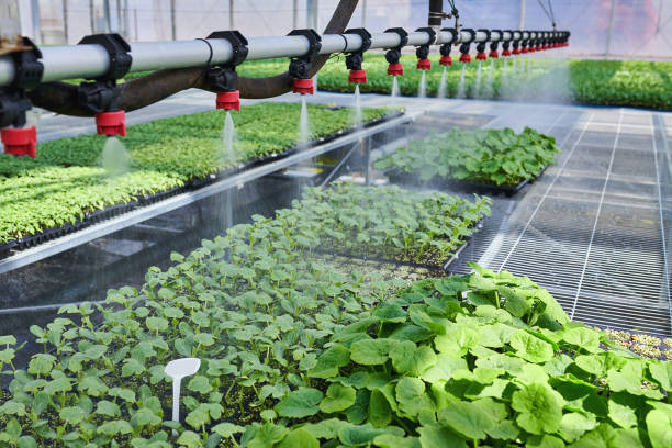 Close-up of Irrigation System at Sprinkling Water