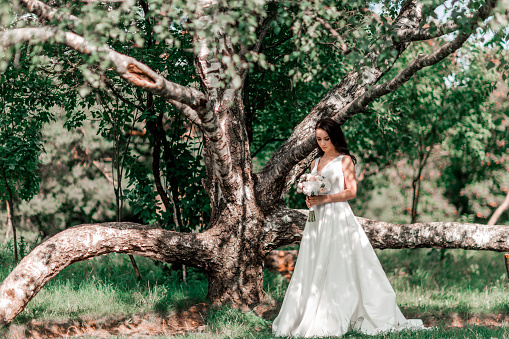 grooms bride standing near the old big tree. people and technology