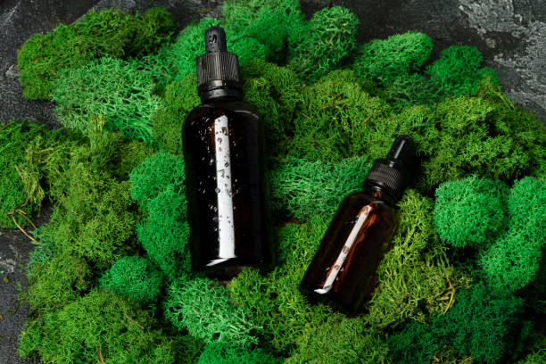 istock Vape smoking liquid bottles on moss background 1585387608