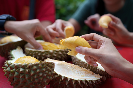 Cropped image showcases a diverse group of enthusiastic tourists bonding over the shared delight of indulging in the exquisite flavors of durian together, creating a joyful and memorable experience