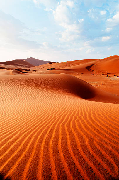 Desert pattern Red desert dune in Sossusvlei National Park namibia stock pictures, royalty-free photos & images