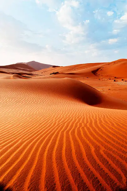 Red desert dune in Sossusvlei National Park