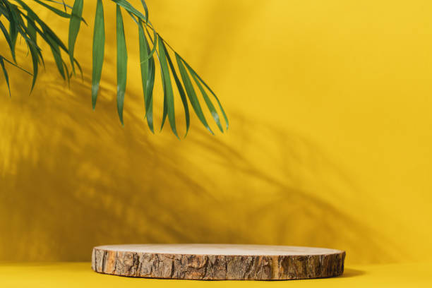 istock Wooden cut podium on yellow background with palm tree shadow 1585418423