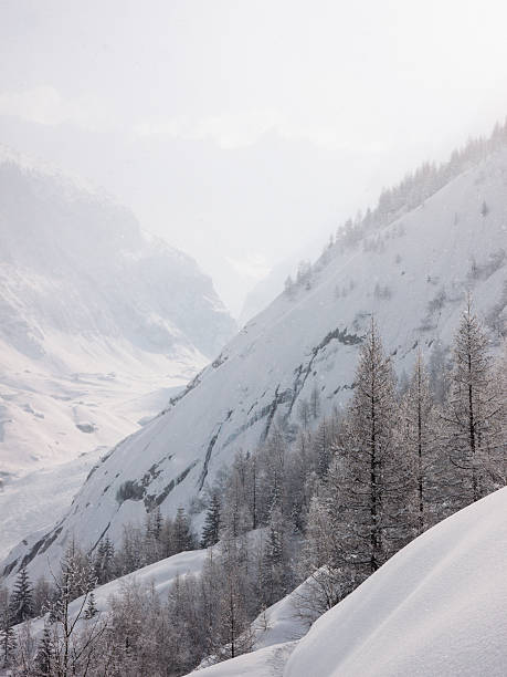 Sparkling winter landscape stock photo