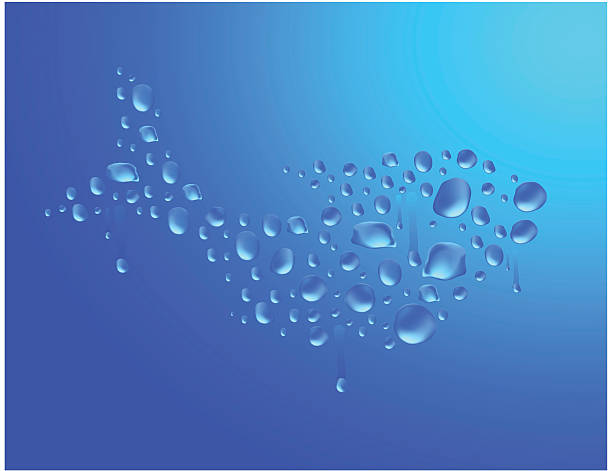 Cold Fish Vector 310+ Cold Fish Pictures Illustrations, Royalty-Free Vector Graphics ...