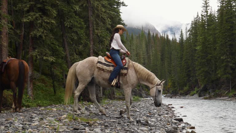 Female horse rider leads horse along riverbank