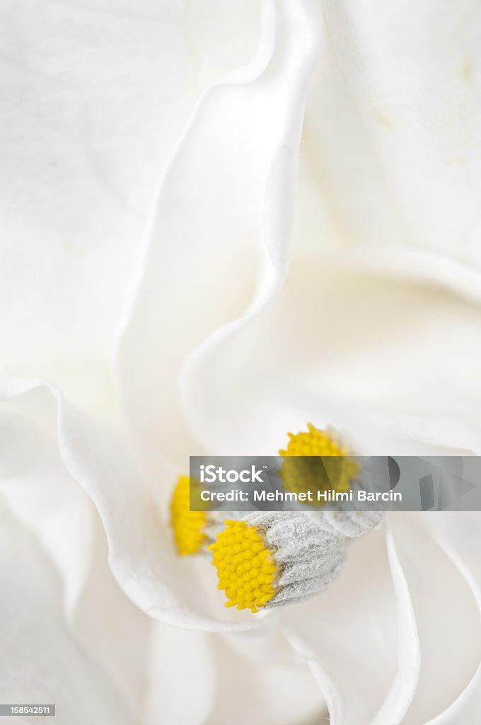 Jarro detalhe - Royalty-free Amarelo Foto de stock