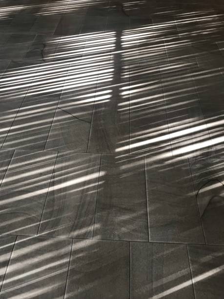 istock Sunlight throughout the shutter window on the floor 1585427106