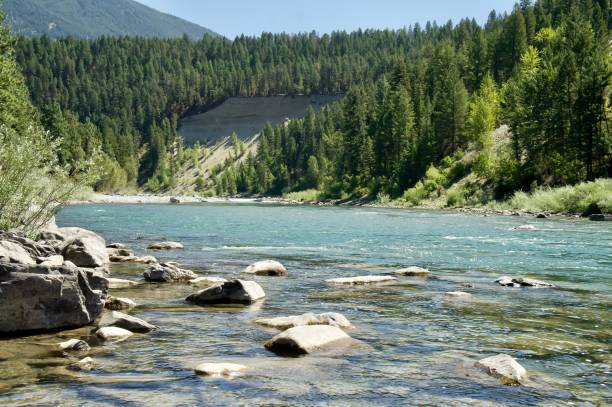 istock Fly fishing on the Elk River. 1585451532