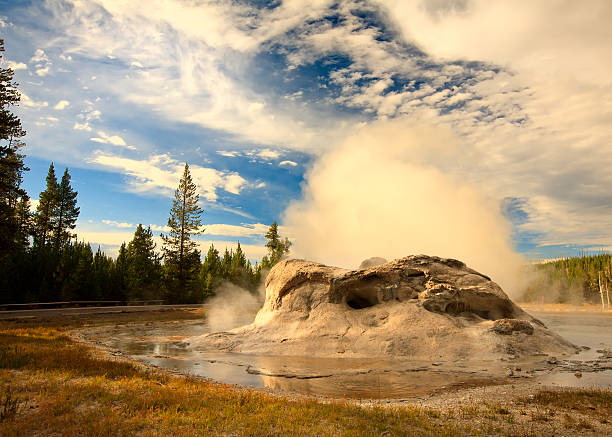 Grotto Geyser-Parc National de Yellowstone - Photo