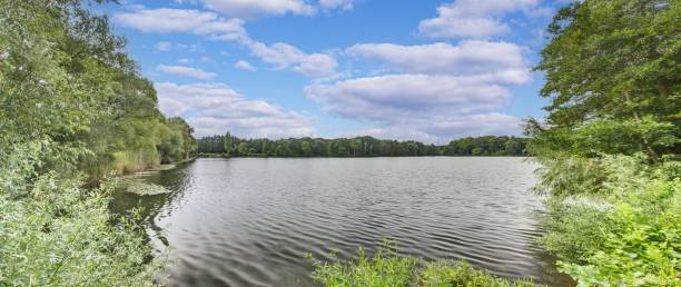 istock Panoramic view over lake with lush shore vegetation in summer 1585471133
