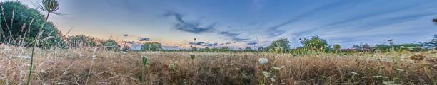 istock Panoramic image over wildflower meadow in spring with flowers of different color 1585472915