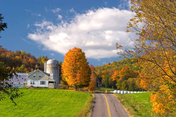 istock Farm, Cambridge, VT, Vermont 1585484608