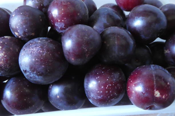 istock small plums or garden sloes 1585485132