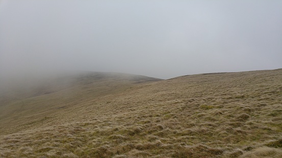 Peaceful and serene, this pristine grassland landscape is bathed in a misty fog. A tranquil horizon stretches out beneath an expansive sky, filled with beauty of nature all around.